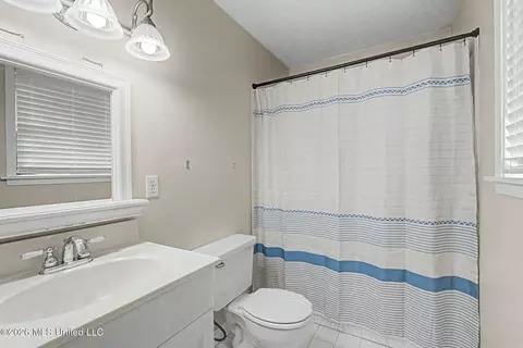 Bath - 3133 Pleasant Hill Rd, Nesbit, MS 38651 photo 4 of 5