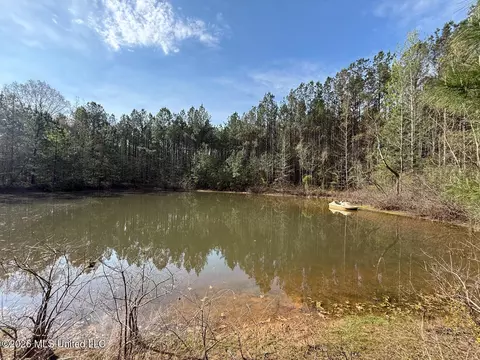 2893 Truesdale Rd, Carthage, MS 39051
