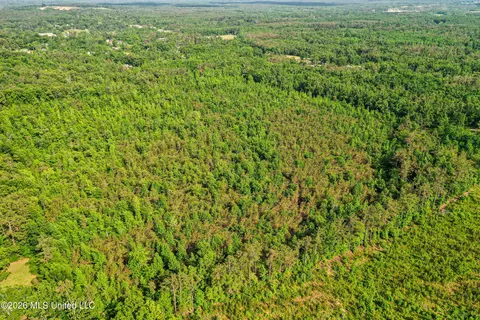 County Road 816, Blue Mountain, MS 38610