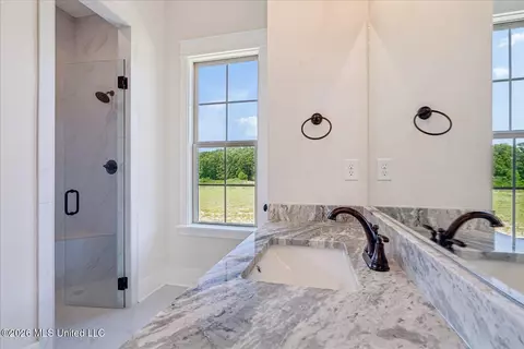 Bath - 4183 Edison Dr, Nesbit, MS 38651 photo 2 of 3
