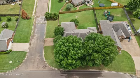 View/Area - 159 Cross Creek Dr, Hernando, MS 38632 photo 2 of 4