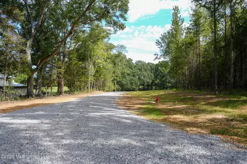 Fallen Oak Cove, Flora, MS 39071 photo 3