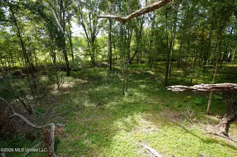 Fallen Oak Cove, Flora, MS 39071 photo 5