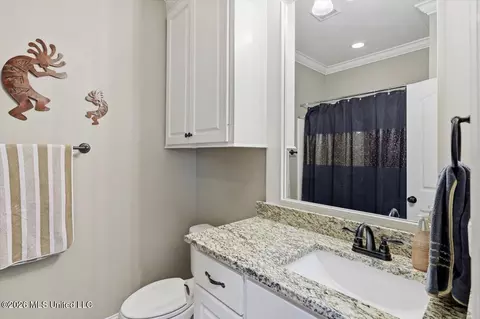 Bath - 447 Greenfield Ridge Cir, Brandon, MS 39042 photo 2 of 2