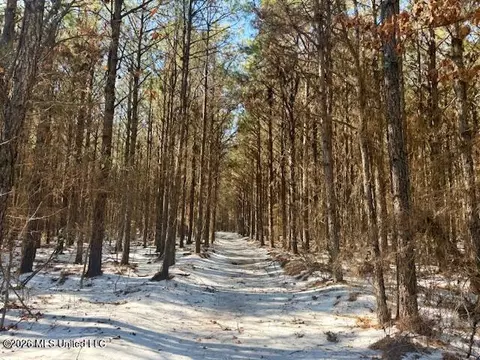 Cook Wallace Road, Bastrop, LA 71220