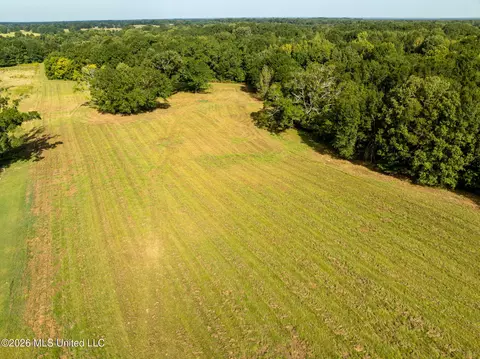 Cane Creek Road, Flora, MS 39071 photo 6