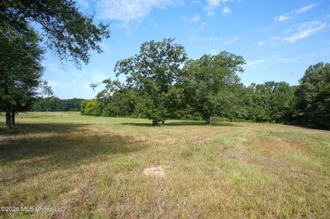 Cane Creek Road, Flora, MS 39071 photo 5