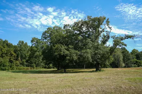 Cane Creek Road, Flora, MS 39071 photo 4