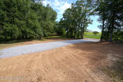 Cane Creek Road, Flora, MS 39071 photo 2