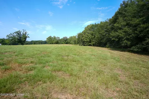 Cane Creek Road, Flora, MS 39071 photo 3