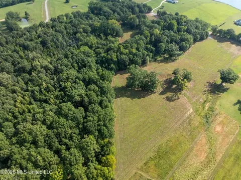 Cane Creek Road, Flora, MS 39071 photo 7