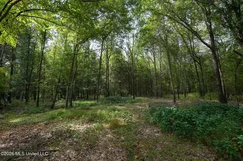 Fallen Oak Cove, Flora, MS 39071 photo 3