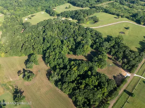 Fallen Oak Cove, Flora, MS 39071 photo 4