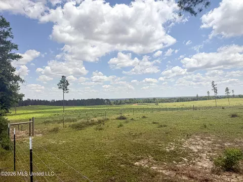 SE Gleenwood Rd., Ruth, MS 39662 photo 22