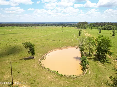SE Gleenwood Rd., Ruth, MS 39662 photo 8