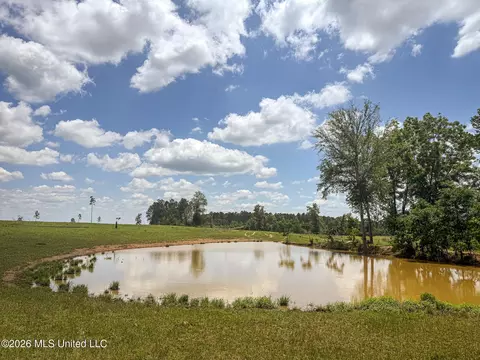 SE Gleenwood Rd., Ruth, MS 39662 photo 17