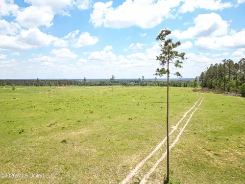 SE Gleenwood Rd., Ruth, MS 39662 photo 6