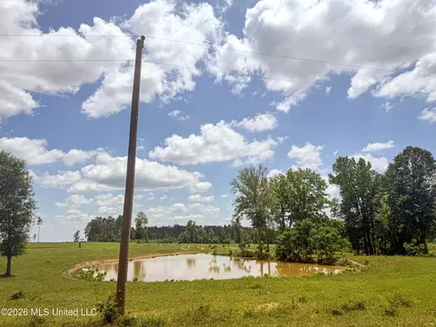 SE Gleenwood Rd., Ruth, MS 39662 photo 19