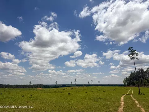 SE Gleenwood Rd., Ruth, MS 39662 photo 20