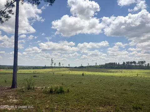 SE Gleenwood Rd., Ruth, MS 39662 photo 21