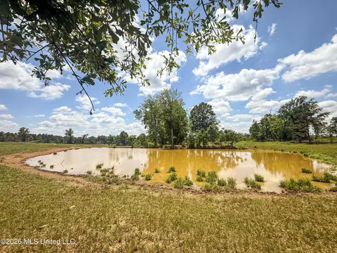 SE Gleenwood Rd., Ruth, MS 39662 photo 16