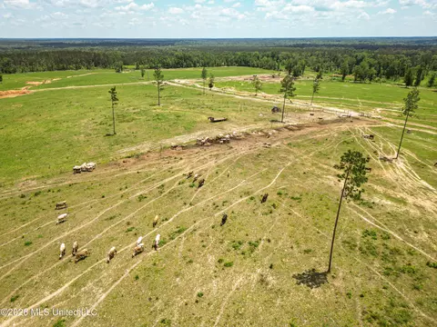 SE Gleenwood Rd., Ruth, MS 39662 photo 13