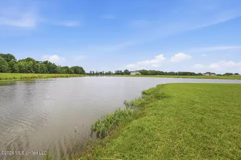 View/Area - 109 Hannalea Pl, Flora, MS 39071 photo 2 of 9