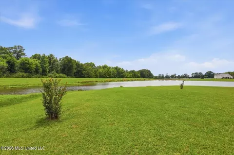 View/Area - 109 Hannalea Pl, Flora, MS 39071 photo 1 of 9