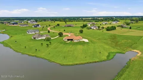 View/Area - 109 Hannalea Pl, Flora, MS 39071 photo 6 of 9