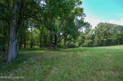 Grand Oaks Way, Flora, MS 39071 photo 3