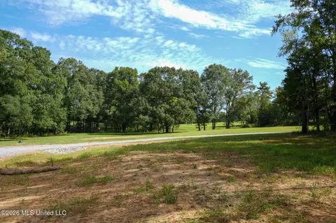 Grand Oaks Way, Flora, MS 39071 photo 4