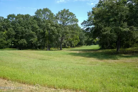 Grand Oaks Way, Flora, MS 39071 photo 5