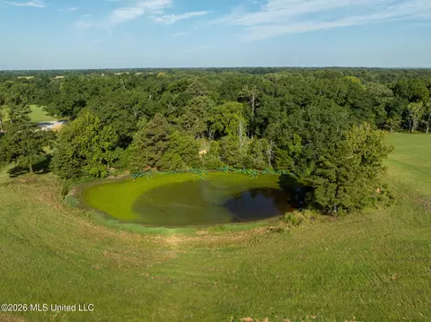Grand Oaks Way, Flora, MS 39071 photo 7
