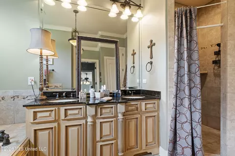 Bath - 3111 W Beauvoir Pl, Hernando, MS 38632 photo 3 of 7