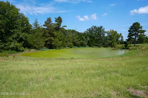 Grand Oaks Way, Flora, MS 39071 photo 3