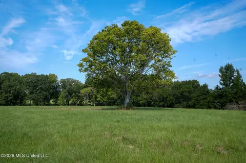Grand Oaks Way, Flora, MS 39071 photo 4