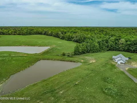 116 Hawkins Rd, Courtland, MS 38620