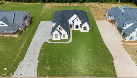 Other - 1667 Baisley Dr, Nesbit, MS 38651 photo 9 of 10