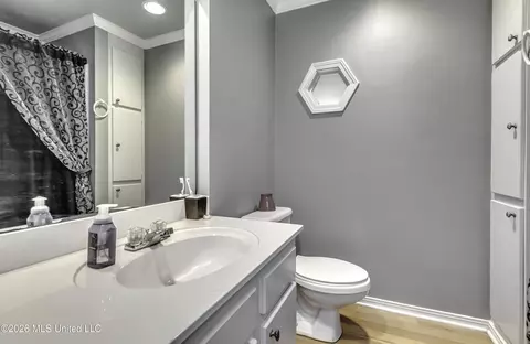 Bath - 279 Fox Run Rd, Brandon, MS 39047 photo 5 of 5