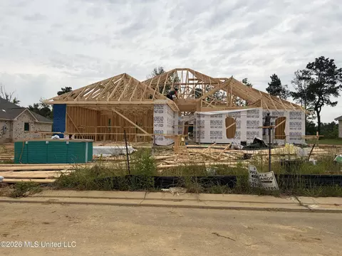 566 Patrick Farms Dr, Pearl, MS 39208