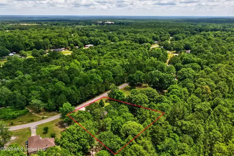 View/Area - 71 Conner Dr, Perkinston, MS 39573 photo 3 of 5