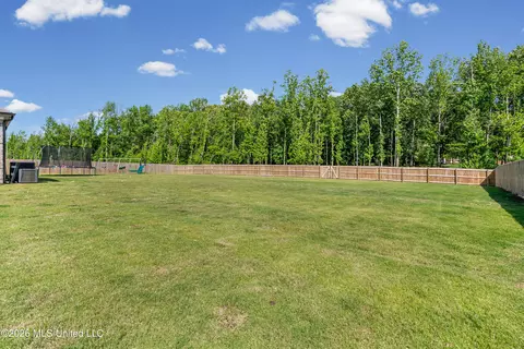 Exterior - 2336 Scott Meadows Ln, Hernando, MS 38632 photo 4 of 5