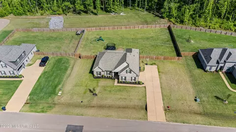 View/Area - 2336 Scott Meadows Ln, Hernando, MS 38632 photo 1 of 4