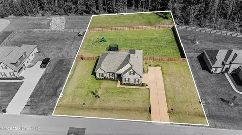 View/Area - 2336 Scott Meadows Ln, Hernando, MS 38632 photo 2 of 4