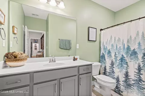 Bath - 2336 Scott Meadows Ln, Hernando, MS 38632 photo 3 of 3