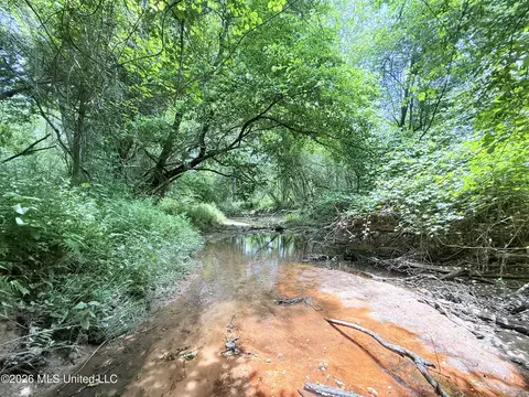 Summit Drive, Summit, MS 39666 photo 6