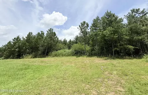 Summit Drive, Summit, MS 39666 photo 2