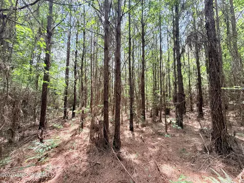 Summit Drive, Summit, MS 39666 photo 10