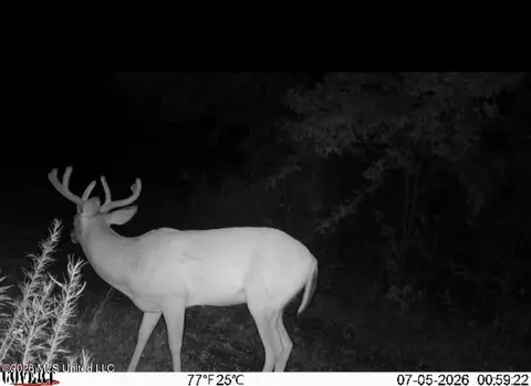 Summit Drive, Summit, MS 39666 photo 26