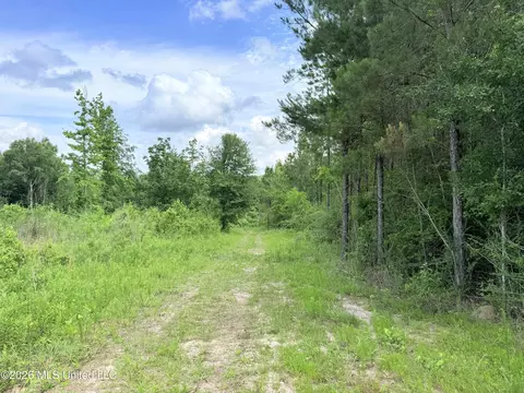 Summit Drive, Summit, MS 39666 photo 2